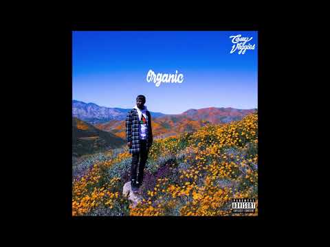 Casey Veggies feat. Kalan.FrFr - "Shake Somethin" OFFICIAL VERSION