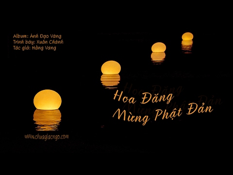 Hoa đăng mừng Phật Đản