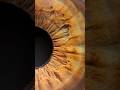 He's got her eye's pictures on the street #eyes #iris #photography #shorts #macro #macrophotography