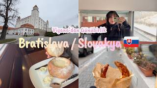 Viyana'dan Bratislava'ya nasıl gidilir? 1 günde neler yapılır? Bratislava hakkın