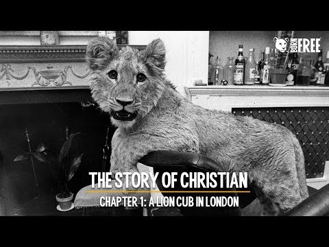 The Story of Christian - Ep.1: A lion cub in London