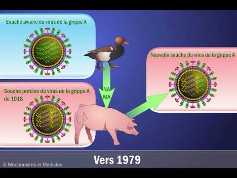 , title : 'Cassure antigénique et le virusde la grippe A H1N1 (en français)'