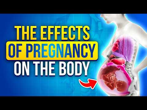 How a Mother's Body Changes During Pregnancy Animation Video | What to expect when you're Pregnant