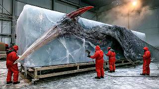 Учёные оживили хищника, вымершего 150 000 лет назад — он всё растёт!