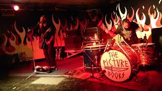 The Picturebooks - Bad Habits Die Hard live @ Yardbirds, Grimsby 19/06/16