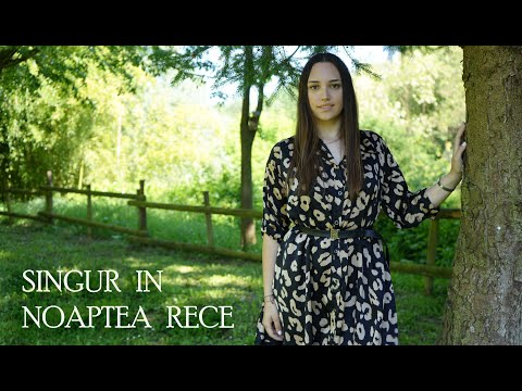 Cristian Onofreiciuc - Singur in noaptea rece (feat. Alegra Poenaru) 4K