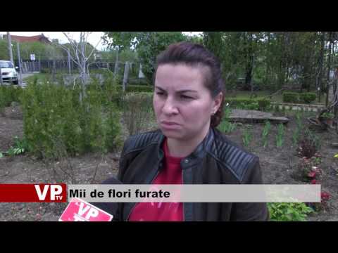 Mii de flori furate