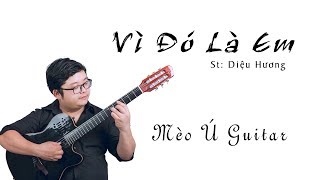 Solo Guitar | Vì Đó Là Em (St Diệu Hương) | Mèo Ú Guitar