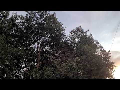 Mostrando minha Cidade Alto Boa Vista Mato Grosso  praça central