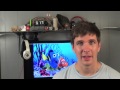How Finding Nemo Ruined My Life