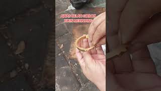Download lagu BEWARE: DISASSEMBLING A TOYOTA STARLET GEARBOX IS A HEADACHE mp3