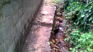 preview picture of video 'Water resource Balangoda town Ratnapura District Sabaragamuwa Province'