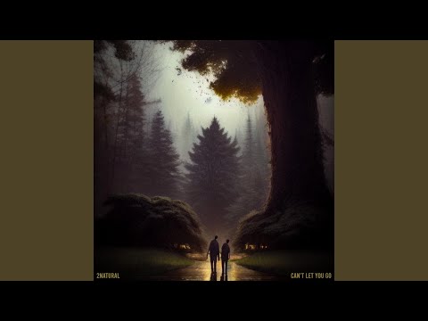 Can't Let You Go (feat. Jonathan Plummer & Young Viridii)
