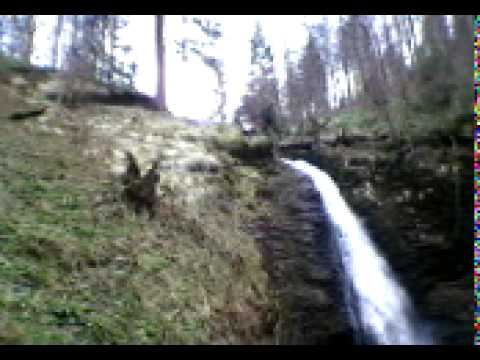 cascada saritoarea iedutului