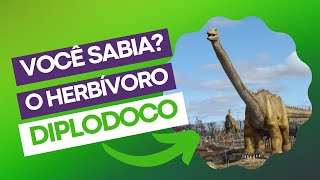 DIPLODOCO UM DINOSSAURO HERBÍVORO