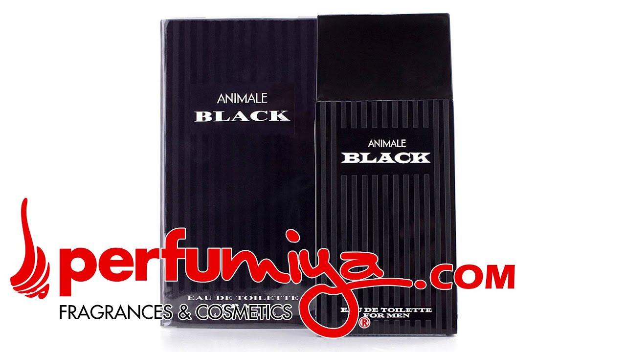 Review Video Thumbnail