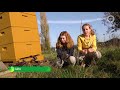 Scheikunde en economie in moestuin, Wageningse school doet het