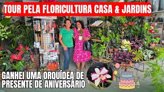TOUR PELA FLORICULTURA CASA E JARDINS | GANHEI UMA ORQUÍDEA DE ANIVERSÁRIO | FOLHAGENS | DICAS 