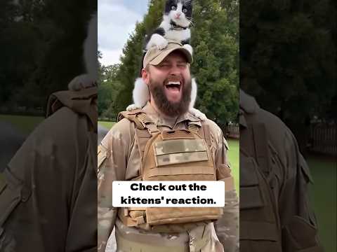 Check out the kittens' reaction #cat #cats #funny #catvideos #funnycats #shorts