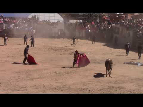 CORRIDA DE TOROS EN EL ALTIPLANO (Puerto Acosta - La Paz)
