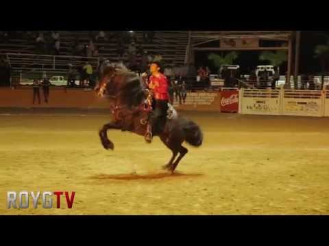 BETO PEÑA Show De Caballos por ROYGTV