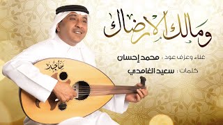 كلمات اغنية مالك الا رضاك محمد احسان