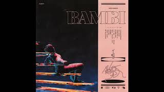 Hippo Campus - Bubbles (Audio)