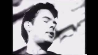 Alphaville - Fools (Prostitute album)