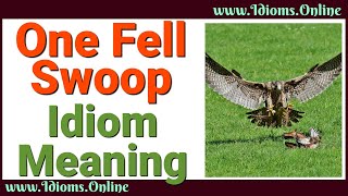One Fell Swoop Meaning  | idioms In English