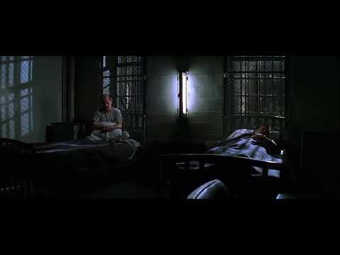 Battle of the Squirrels