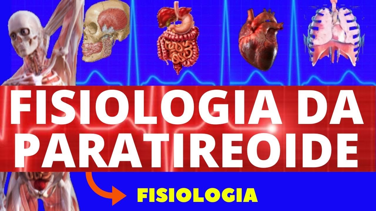 FISIOLOGIA DA PARATIREOIDE - FISIOLOGIA DO PARATORMÔNIO E CALCITONINA - METABOLISMO DO CÁLCIO