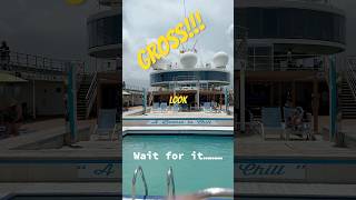 Margaritaville at Sea 1st Impression….#margaritavilleatsea #funnelheads #cruise