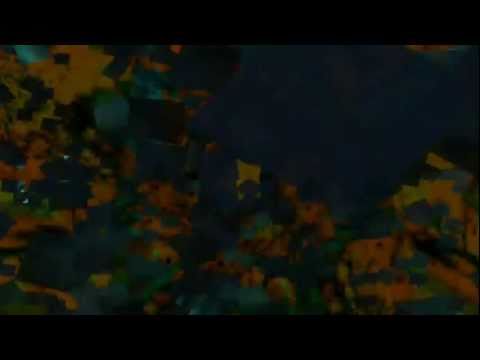 LES ENFANTS DE LA ROUTE VIOLETTE - Prisonnier [remix]