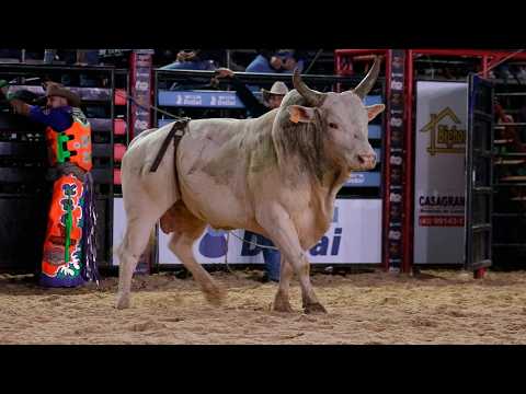 SEMI FINAL em TOUROS | RODEIO de GUAPIRAMA-PR 2026