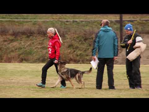 Isabelle Almqvist Dundragårdens Extra C (IPO2)