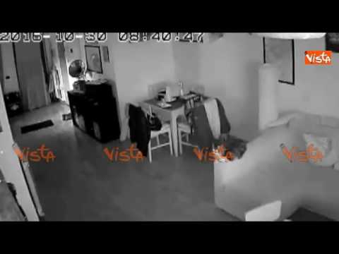 Terremoto 30 Ottobre 2016, la scossa a Roma Nord filmata dalle telecamere di sorveglianza