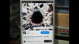 【空気録音】Xperia8（ハイレゾ対応ロースペック廉価モデル）でYouTube音源を再生～ Parlor skona - Chris Jormin 3(recorded at 2.5 m away)