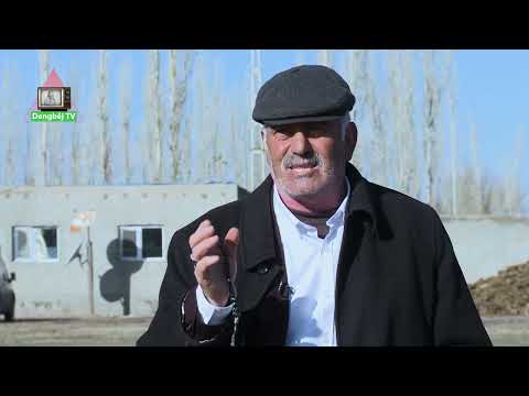 LORÎNA KLAMAN - DENGBÊJ FERZENDE