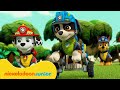 PAW Patrol La Pat Patrouille Aventures De Dinosaures Avec Rex Nickelodeon Jr France