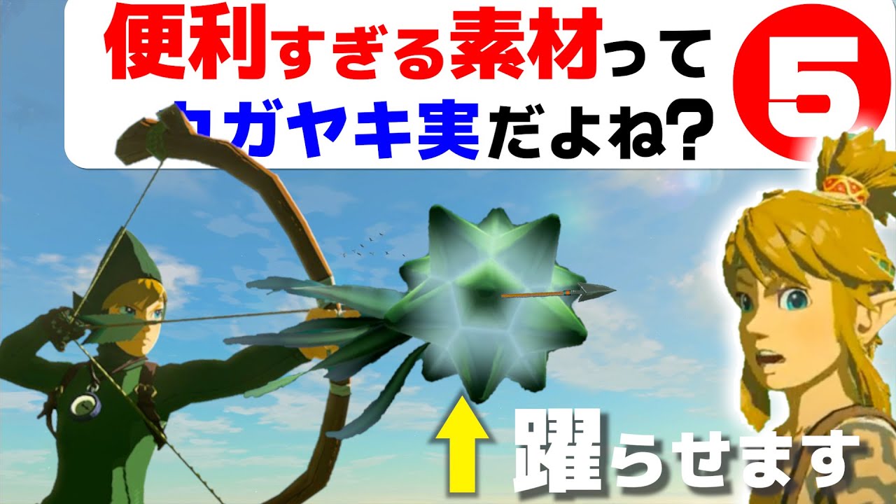 【ティアキン】攻略 カガヤキの実の使い道と効果(裏技)【ゼルダの伝説 ティアーズ オブ ザ キングダム】