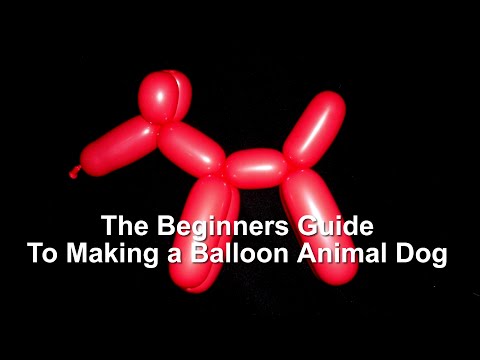 The Beginner's Guide to Making a Dog Balloon Animal #balloondog #balloonanimals