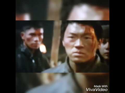 Fighter in the wind 🐉🐲