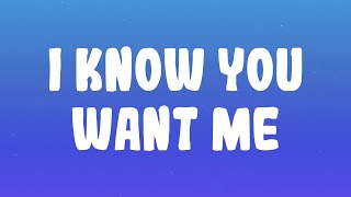 Pitbull - I Know You Want Me (Calle Ocho)