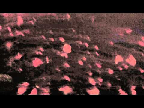 RAIS DJ @ KODE_1 | 17.02.15 | BALCONY SESSION | RED BULL MUSIC ACADEMY |