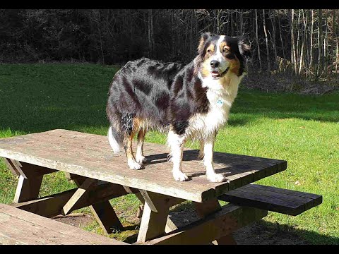 2020 03 09 Monbachtal