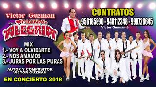 Grupo Original Alegria Mix Voy a Olvidarte . Nos Amamos - Juras por las Puras en Vivo 2018