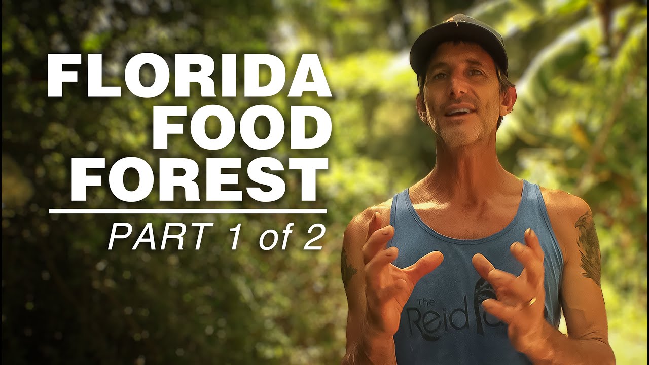 The Amazing Reid Farm Food Forest