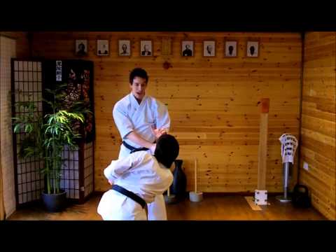 Kata Bunkai Video Tutorial 10 - Pinan (Heian) Shodan & Nidan Kata