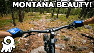 Don't Ignore Less-Known Trails! // Shannon Ridge POV // Lake Como, Montana
