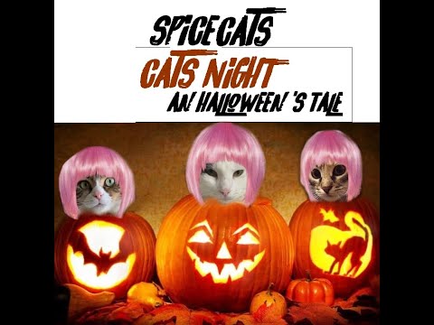 The Spice Cats (cats music group) Cats Night, an halloween’s tale / 4th song !